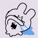 일진내추럴 | 디어달리아 쿠션 추천 절대 못하는 이유