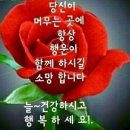 돈벼락이 맞고 싶으시다고요 이미지