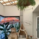 라라논골 이미지