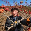 산음영농 이미지