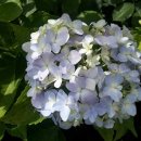 경북대로(북) 이미지