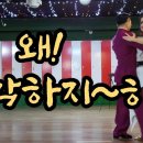 탱고 - 동래구 금강공원로26번길 2 | 탱고