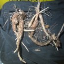 풍기장례식장 이미지