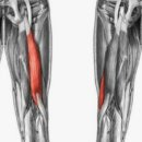 이지짐(EZ GYM) 이미지