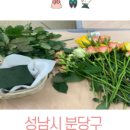 성남보건지소 이미지