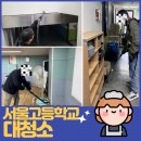 서울고등학교 | 서울 고등학교 대청소 여성기업인증 수의계약가능한 청소업체