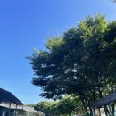 13월의아침 | 문경 펜션 고향의 따뜻함을 느낄 수 있는 13월의아침 후기