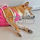 부흥로351번길 | 부천 심곡동 대성병원 근처 노트북 하기 좋은 신상 디저트카페 코너73 내돈내산