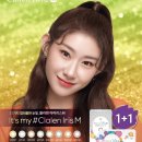 글라스패밀리 네이버블로그