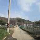 미희농장 이미지
