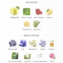 맑은물사업소 3 | 프레데릭말 로디베 시향 후기｜겨울의 물처럼 맑은 아이리스 파우더 향수