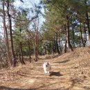 강릉에스에스펜션 네이버블로그