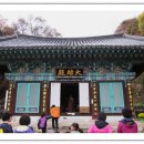 만일향