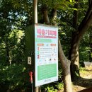 등산의 새로운 방식, 영인산 집라인 하산 후기