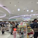 파이리코 | [삿포로 아이랑 단둘이 여행] 포켓몬센터 &amp; 산리오 &amp; 러쉬 &amp; 돈키호테 &amp; 드럭스토어 쇼핑