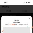 냐옹지마 이미지