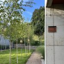 서상(남) 이미지