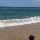 오리네식당 이미지