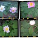 김종군농장 이미지