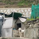 모망드레브 | [통영/거제] 내돈내산 🤑 통영 숙소 ‘모망드레브’ 숙박 후기