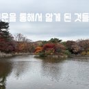 2024년 11월 22일 금요일 신문을 통해서 알게 된 것들 이미지