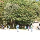 남매바위 화장실 이미지