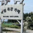 새물목장 이미지