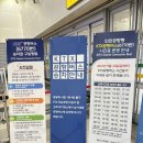 [필리핀 보홀여행]광명역 공항버스 6770/인천공항 우리은행 페소환전/에스파시오 리조트