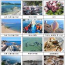 수산어촌체험휴양마을 이미지