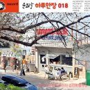 한장한코 이미지