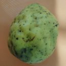 옥리 옥리경로당 이미지