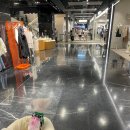 애견백화점 이미지