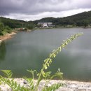 고삼농장 이미지