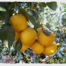 비학농장 이미지