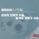 다나음동물병원 이미지