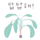 샤론 꽃 화원 네이버블로그