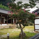 녹동서원 인근 이미지