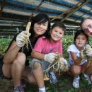 금산인삼쇼핑센터 이미지