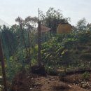 결성농장 이미지