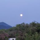 주연농장 이미지