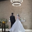 씨즈더데이 이미지