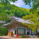 라온스테이 | 부산 당감동 원효대사가 창건한 사찰 "천년고찰 백양산 선암사" 절 구경하기 (+주차장, 템플스테이 정보)