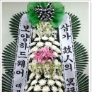 금강병원(1004) 이미지
