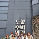 제주의 이유 | 제주도 미니버스 투어 후기 제주 여행 정말 편했던 이유