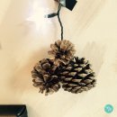 살랑살롱 이미지