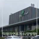 (주)디에스 덕평주유소 | 영동고속도로 덕평휴게소 하행, 상행(양방향), 이영자...맛집추천, 운영시간, 주유소, 쇼핑, 수유실...