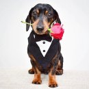 플랫앤웨이브 | 3월의 꽃말은 결혼식,,남편이랑 결혼식 다녀오는 일상🕊️(근데 이제 데이트와 쇼핑을 곁들인..)