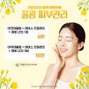 브이에스라인의원 네이버블로그