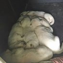 운주사주유소 네이버블로그