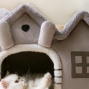 꿀잠하우스 이미지